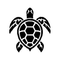 sea turtle